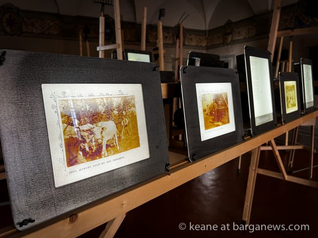 images from barga -13986