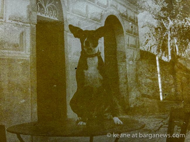 images from barga -13996