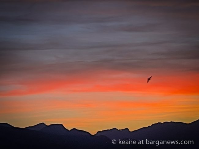 images from barga -14081