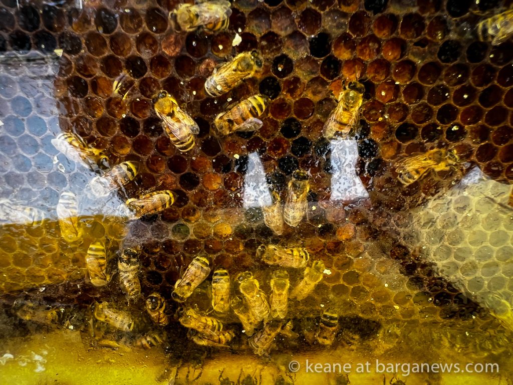 Il Castello delle Api  – Bees in Barga Vecchia