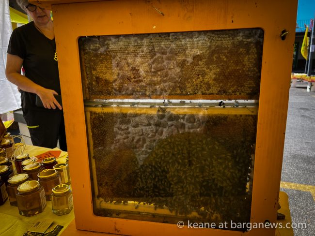 images from barga -14105