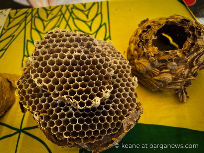 images from barga -14112