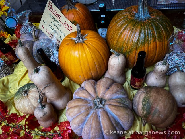 images from barga -14139