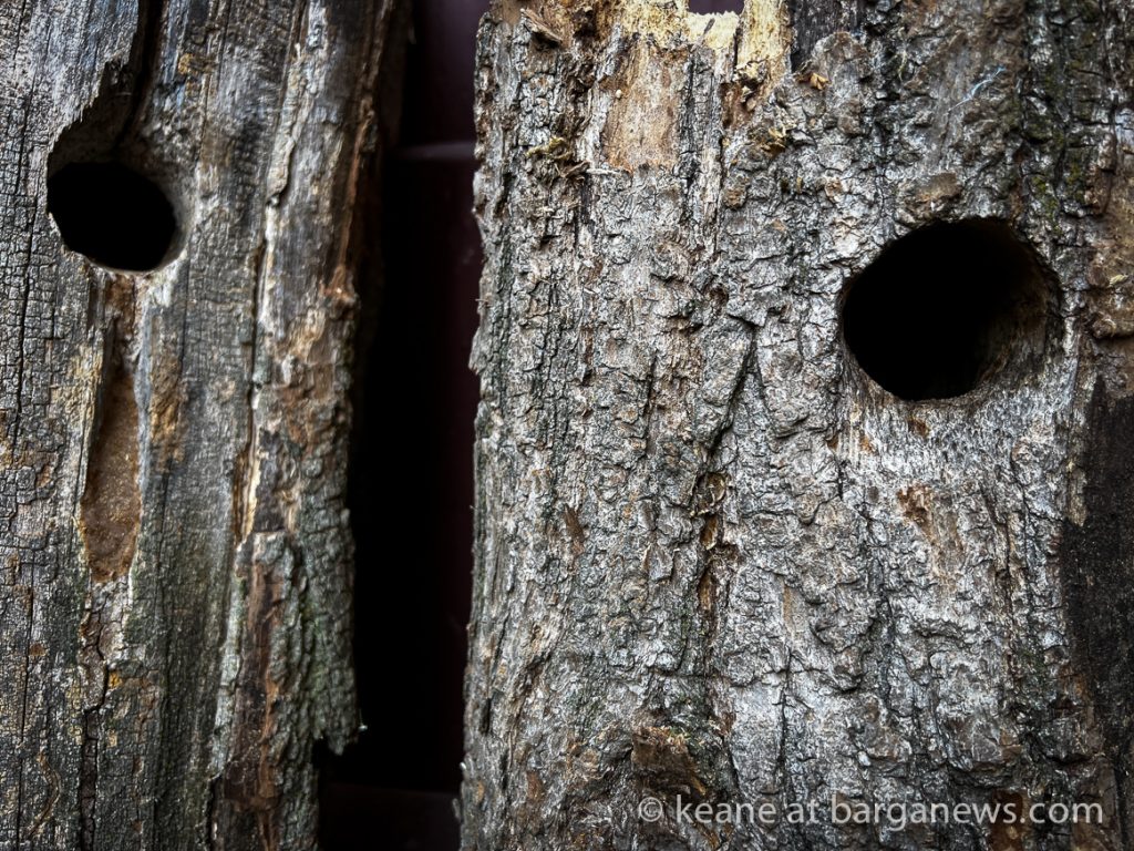 Barga Daily Image 6th October 2023