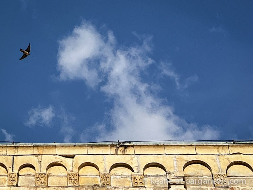 images from barga -14224