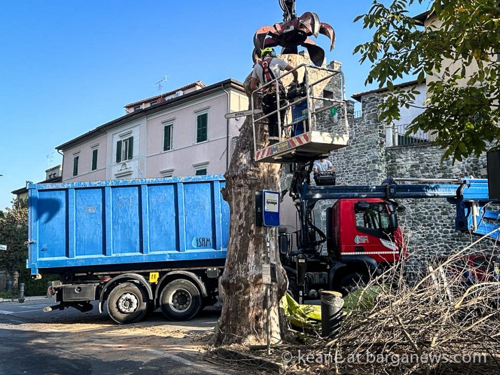 images from barga -14258