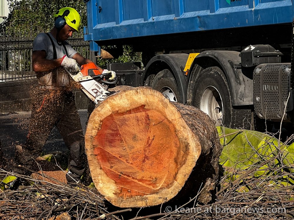 images from barga -14286