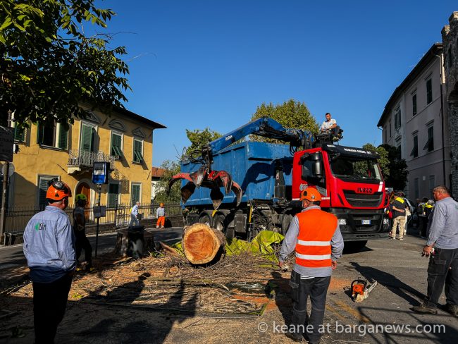 images from barga -14292