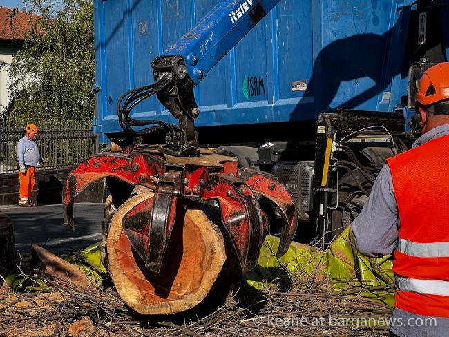 images from barga -14295