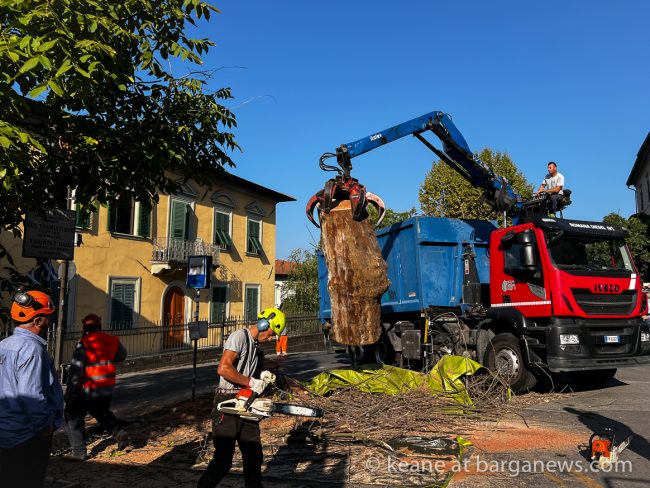 images from barga -14304