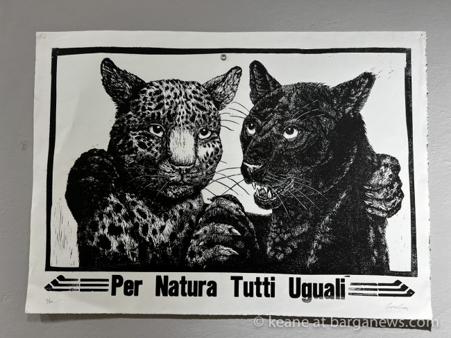 images from barga -14339