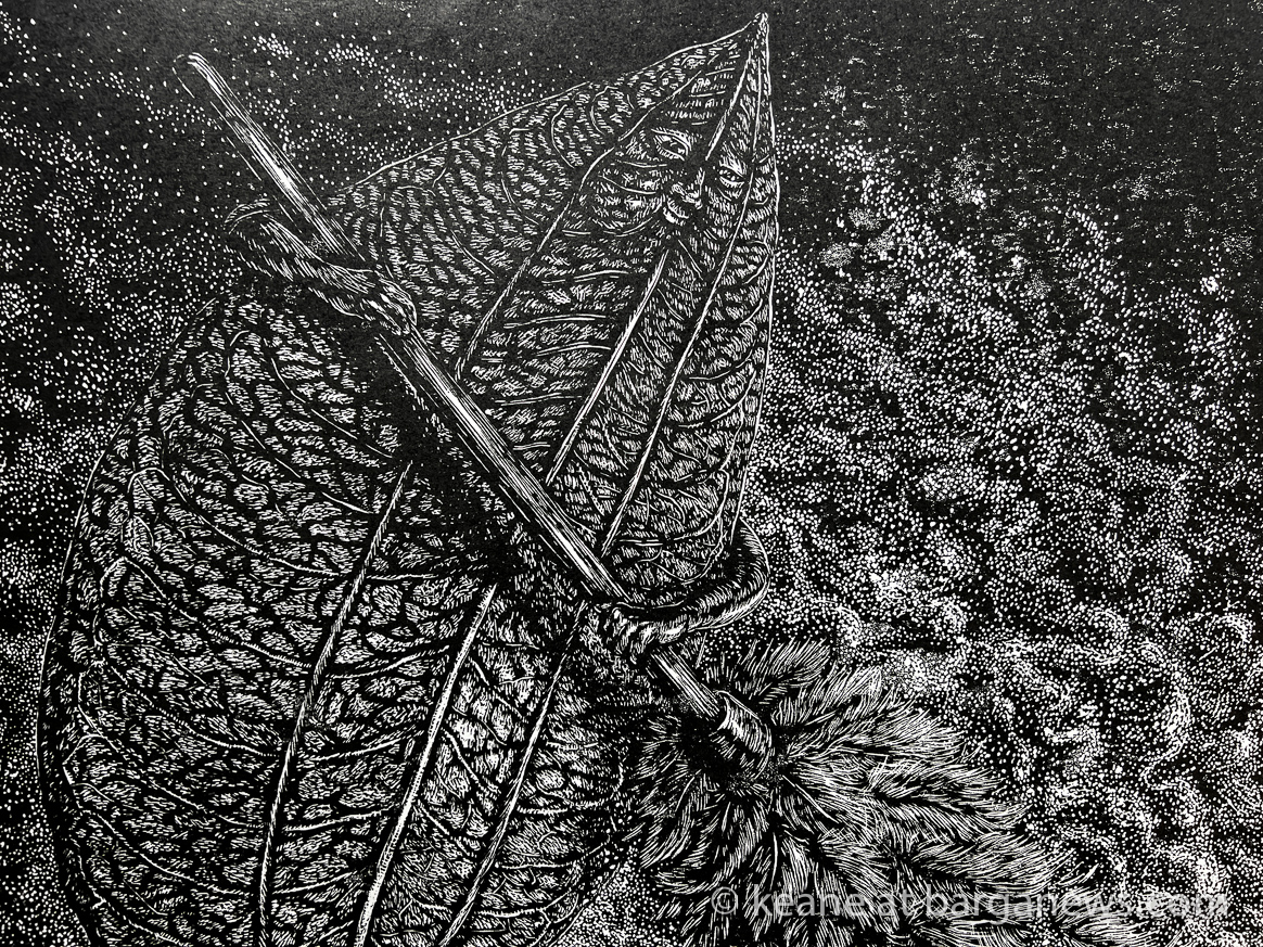 images from barga -14340