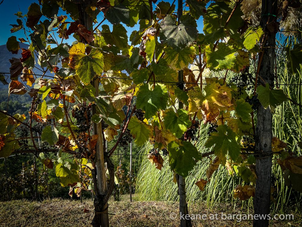Barga Daily Image 9th October 2023