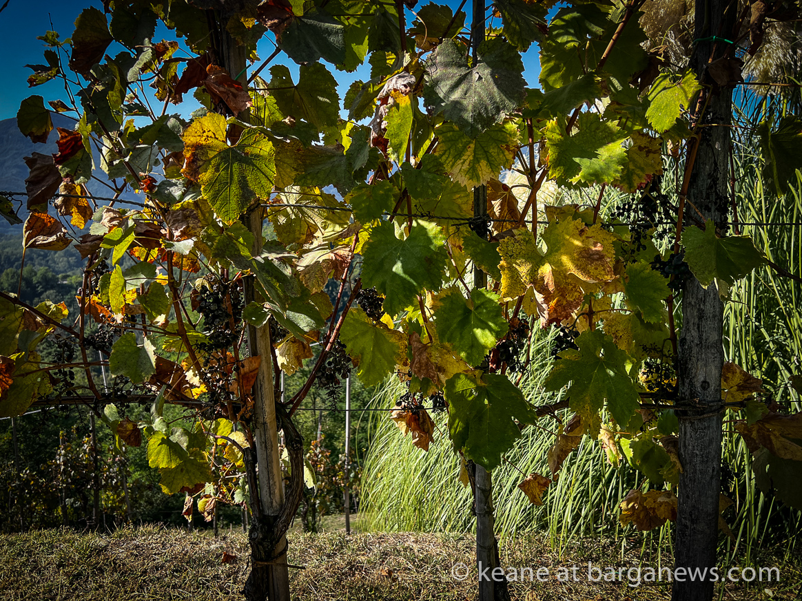 Barga Daily Image 9th October 2023