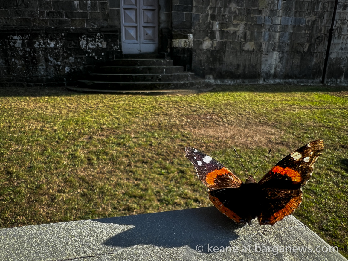 images from barga -14447