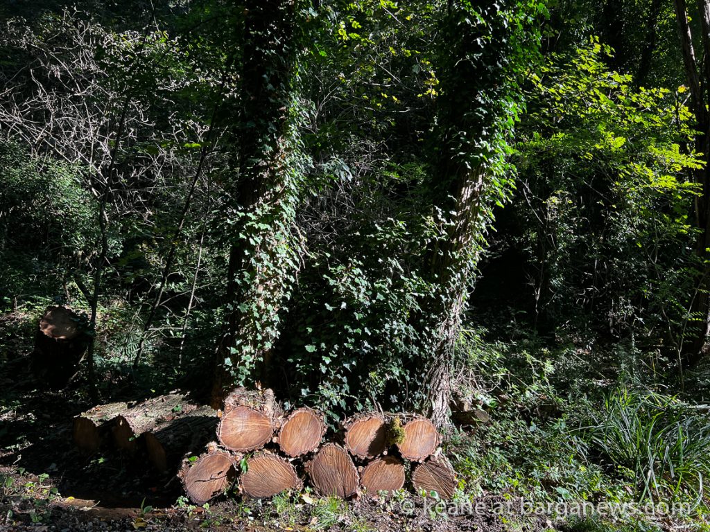 Barga Daily Image 21st October 2023