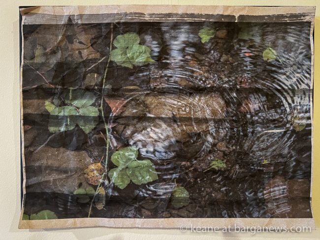 images from barga -14528