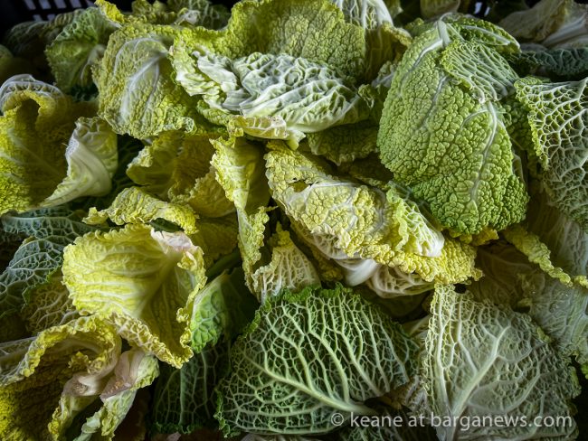 images from barga -14799