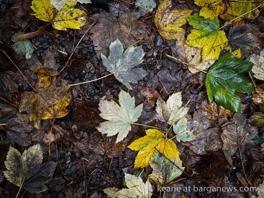 Barga Daily Image 27th October 2023