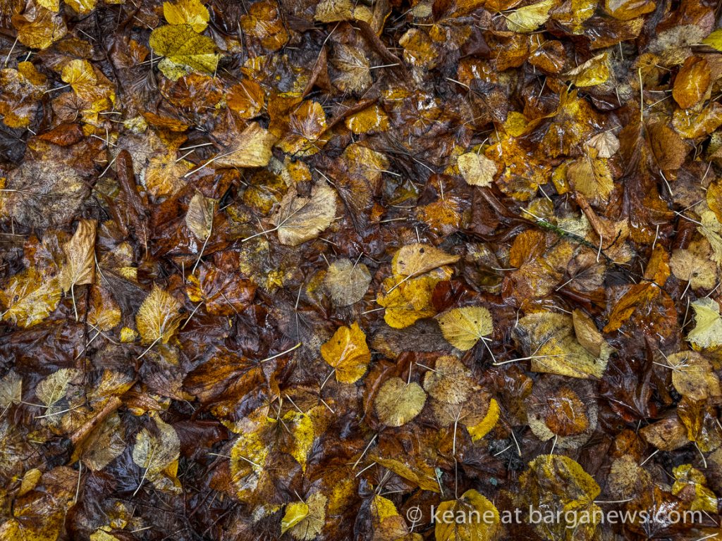 Barga Daily Image 1st November 2023