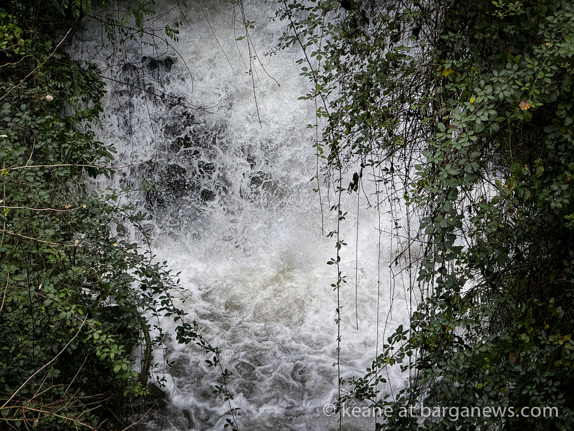 images from barga -15455