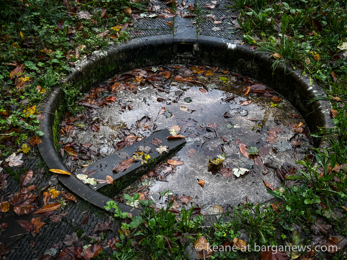 Barga Daily Image 12th November 2023