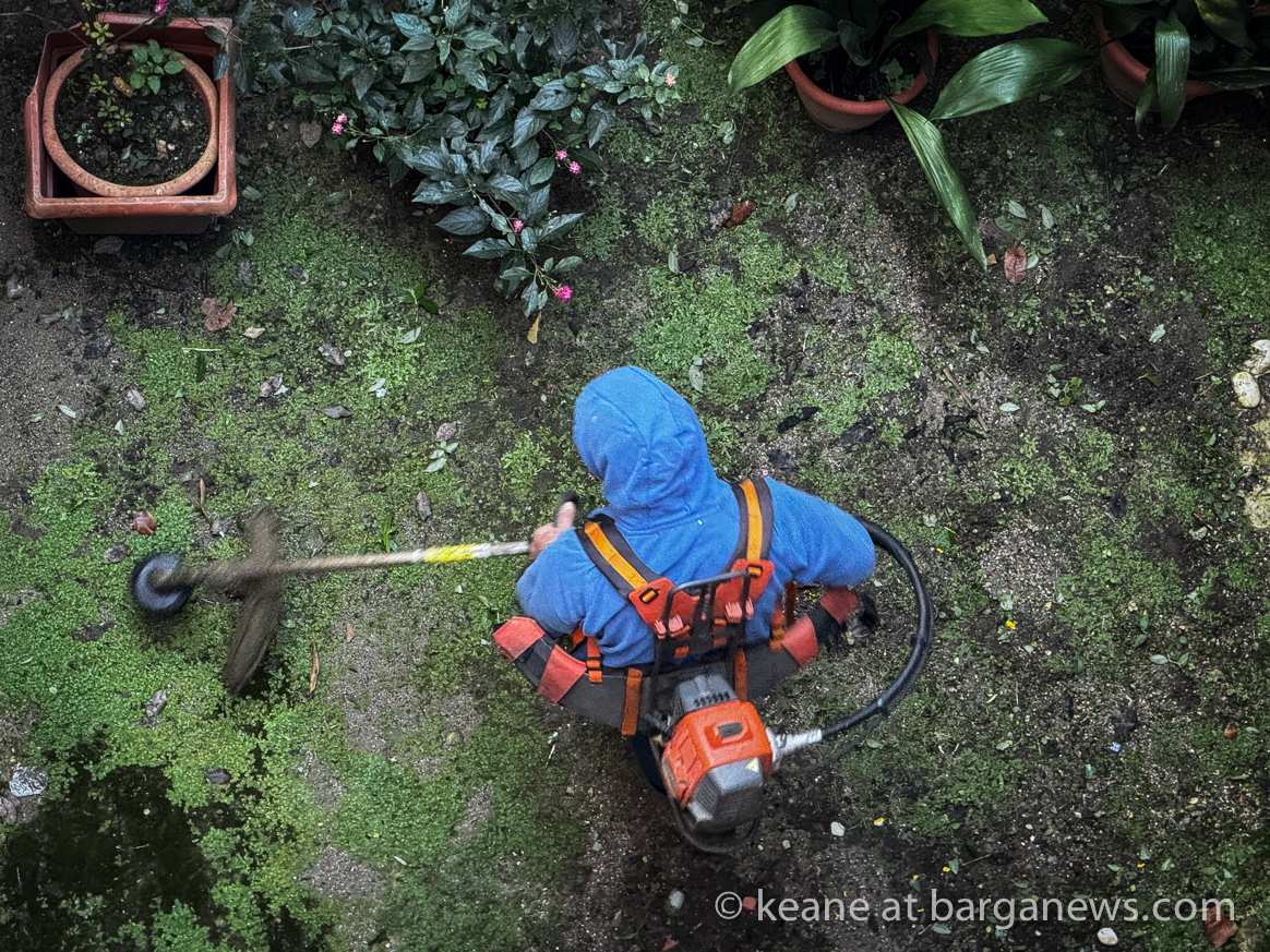 images from barga -15944