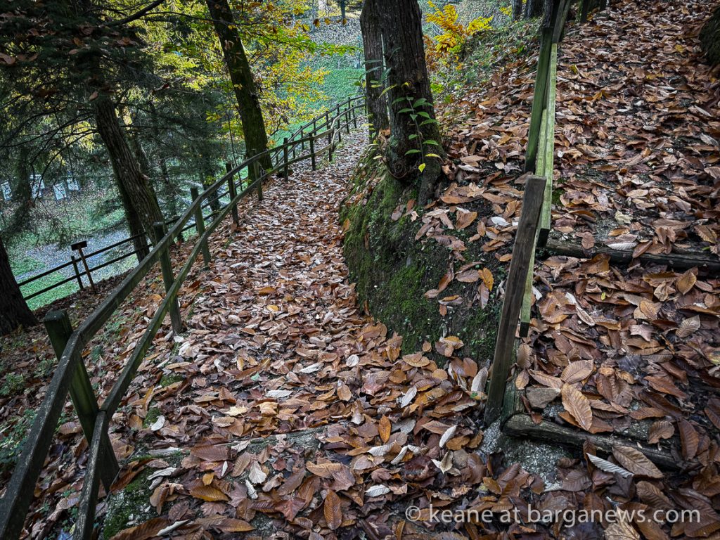 Barga Daily Image 1st December 2023