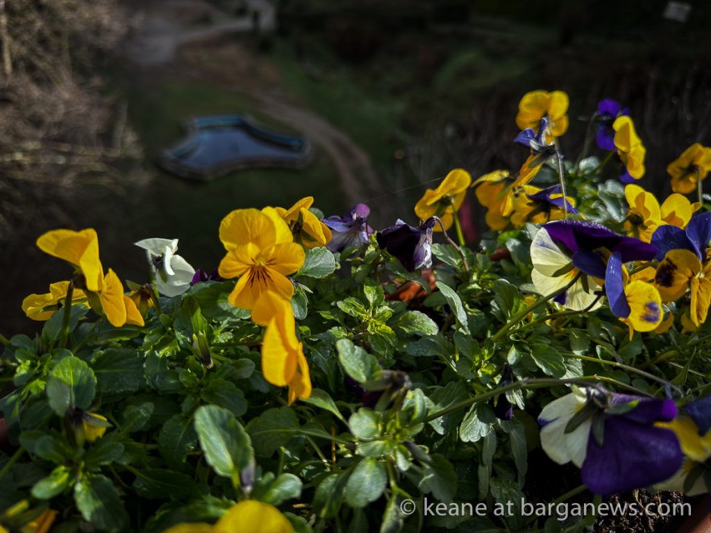 Barga Daily Image 18th January 2024