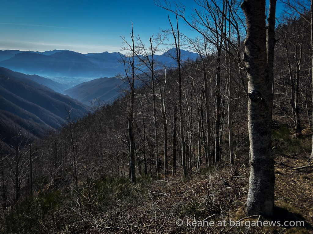 Barga Daily Image 30th January 2024