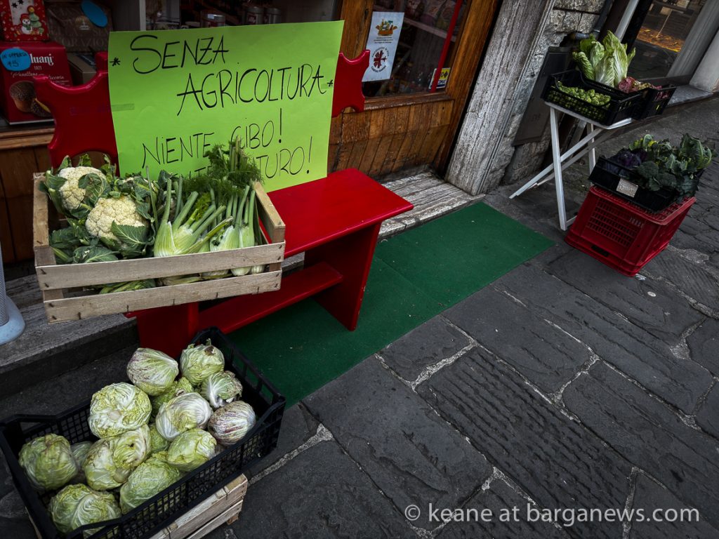 Barga Daily Image 31st January 2024