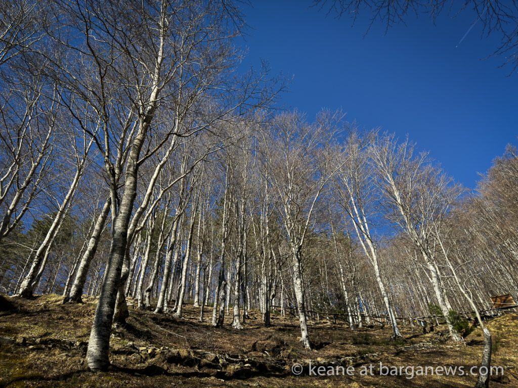 Barga Daily Image 4th February 2024