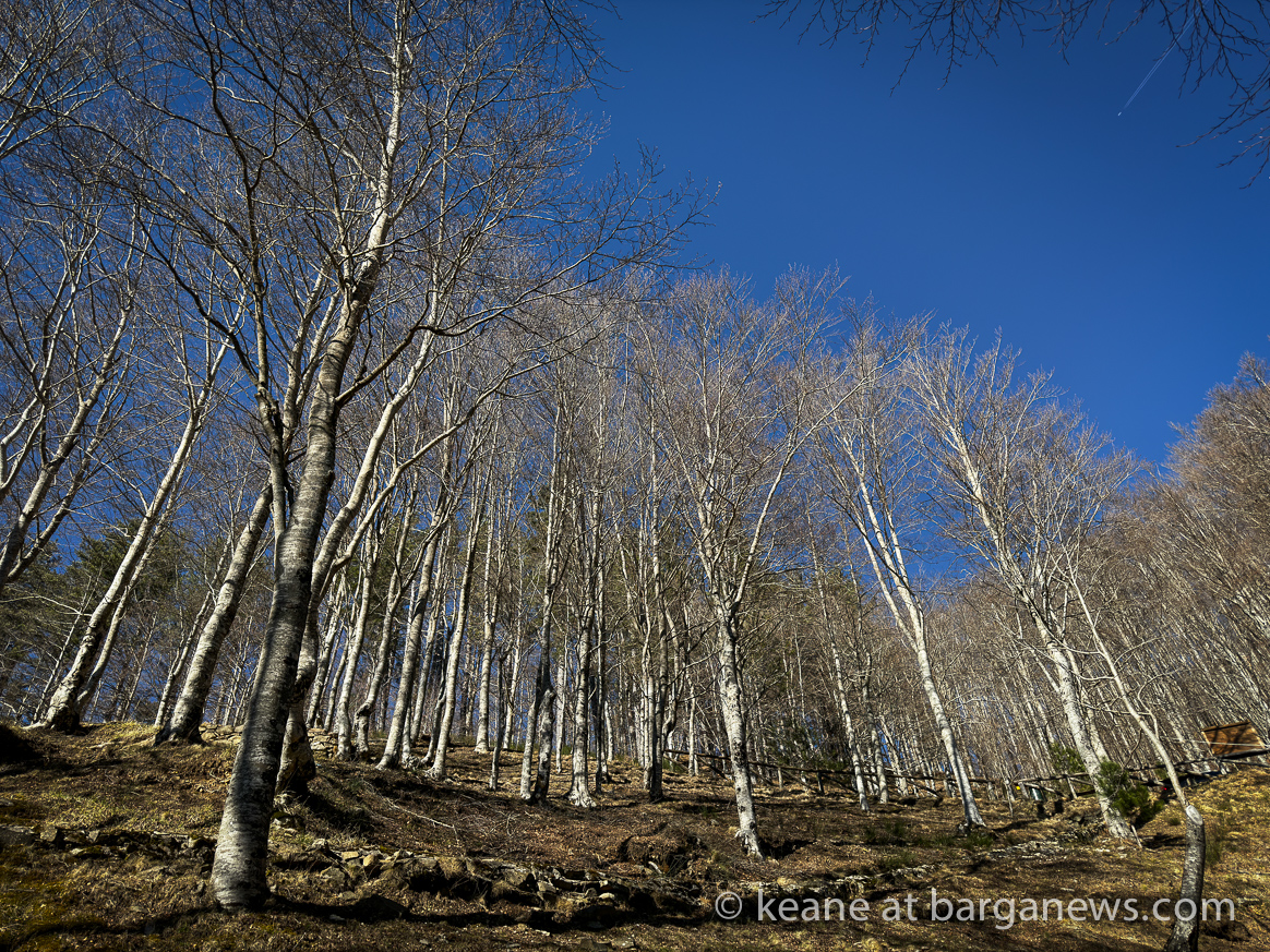 Barga Daily Image 4th February 2024