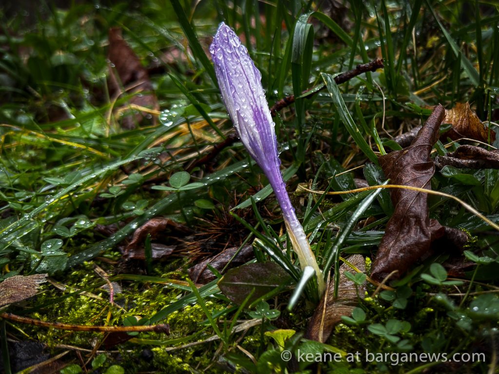 Barga Daily Image 9th February 2024