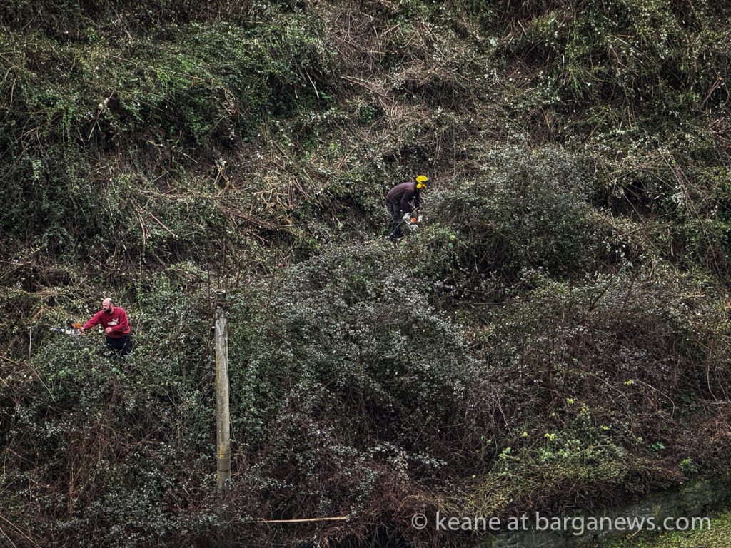 Barga Daily Image 12th February 2024