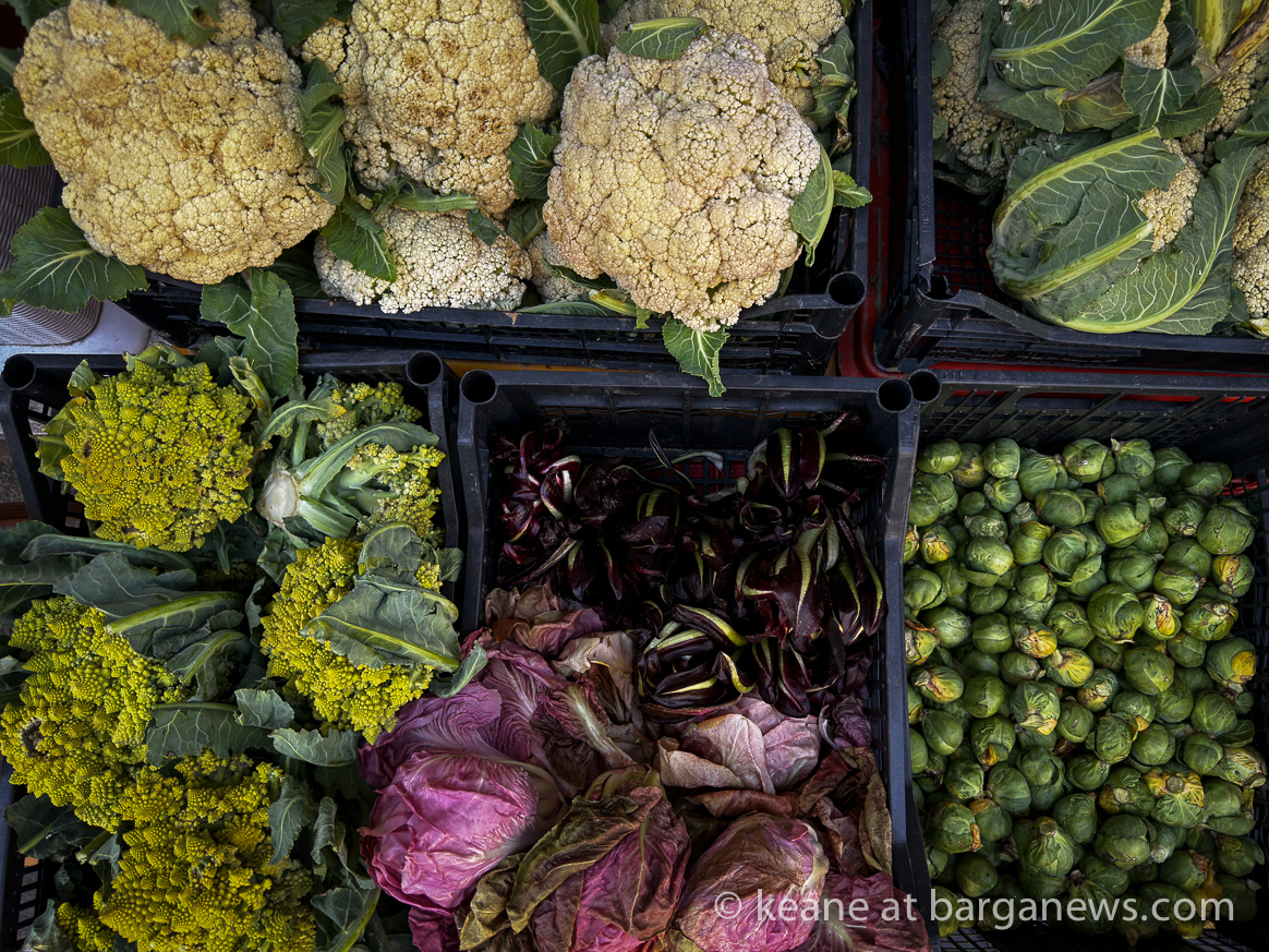 images from barga -19097