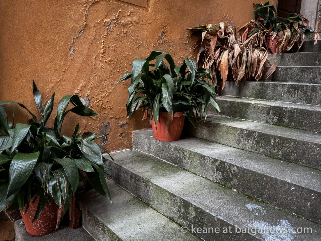 Barga Daily Image 1st March 2024