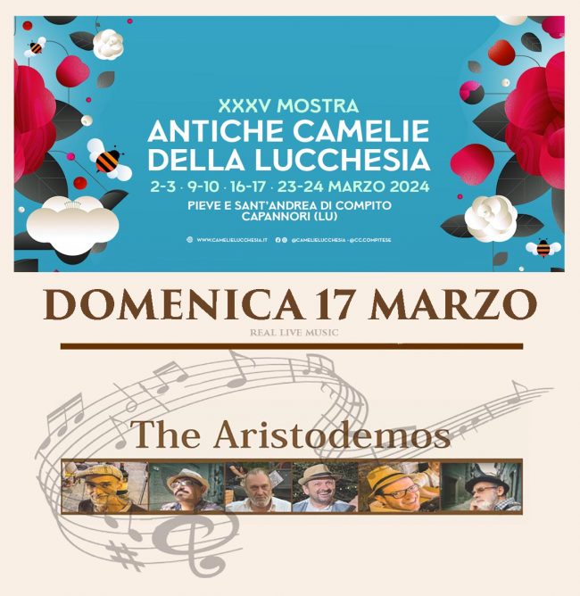 aristodemos 17march flowersi