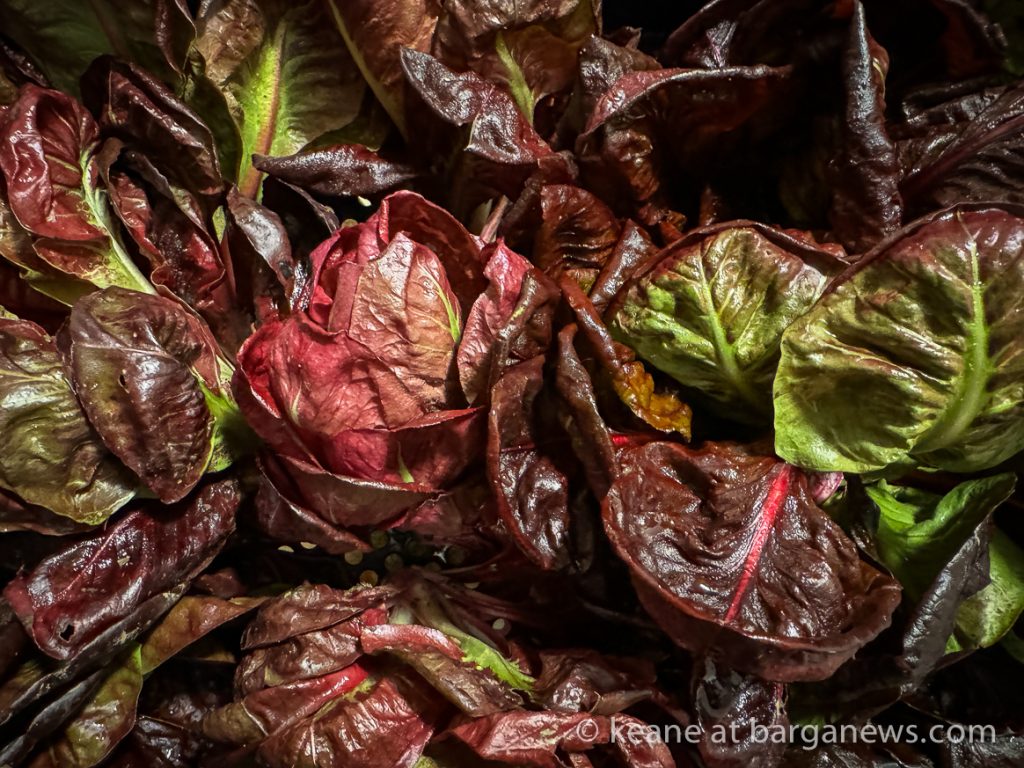 Barga Daily Image 4th March 2024