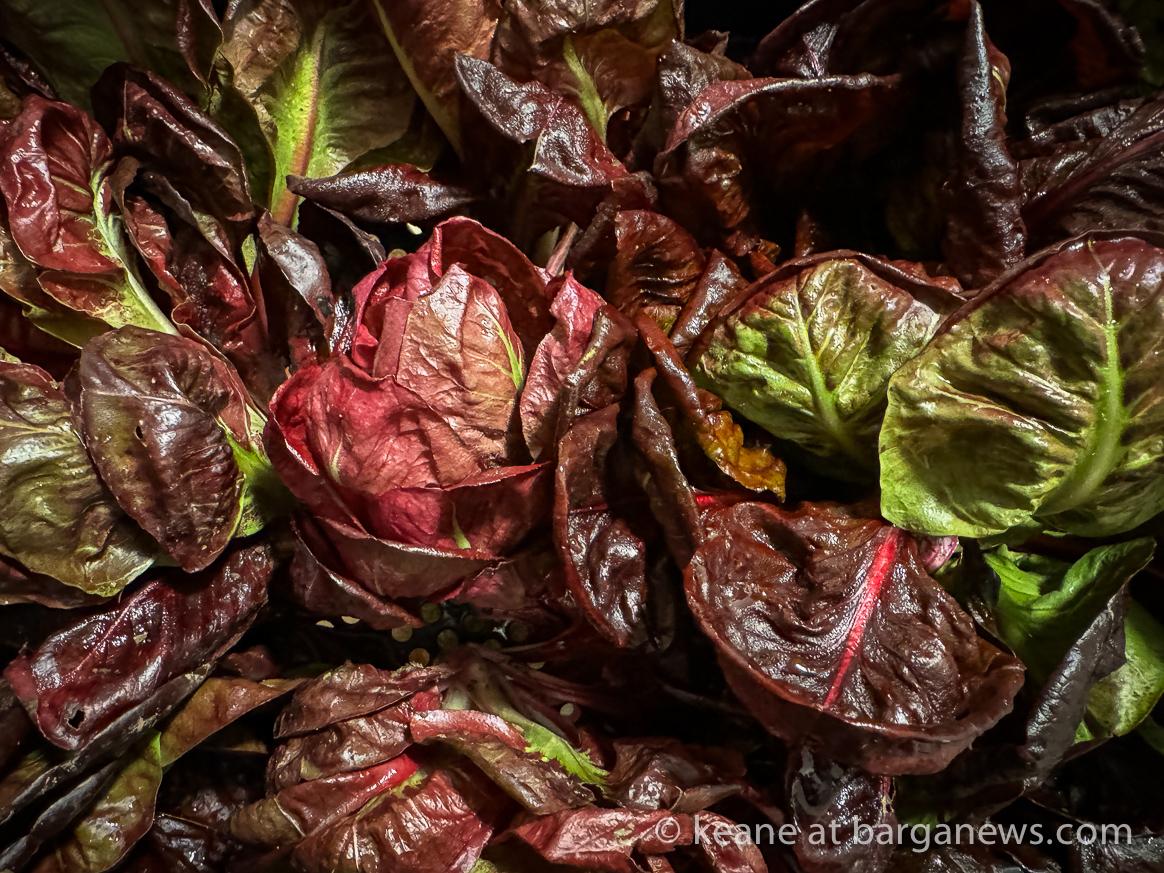 Barga Daily Image 4th March 2024