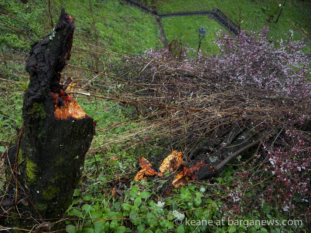 A tree falls silently in the night