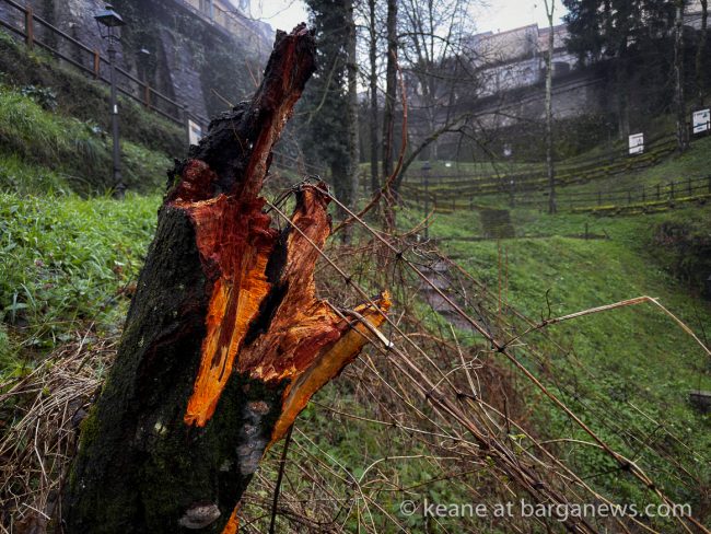 images from barga -19763