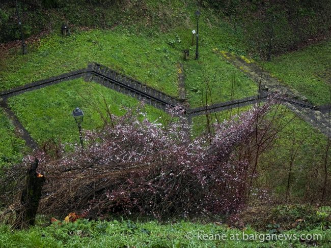 images from barga -19765