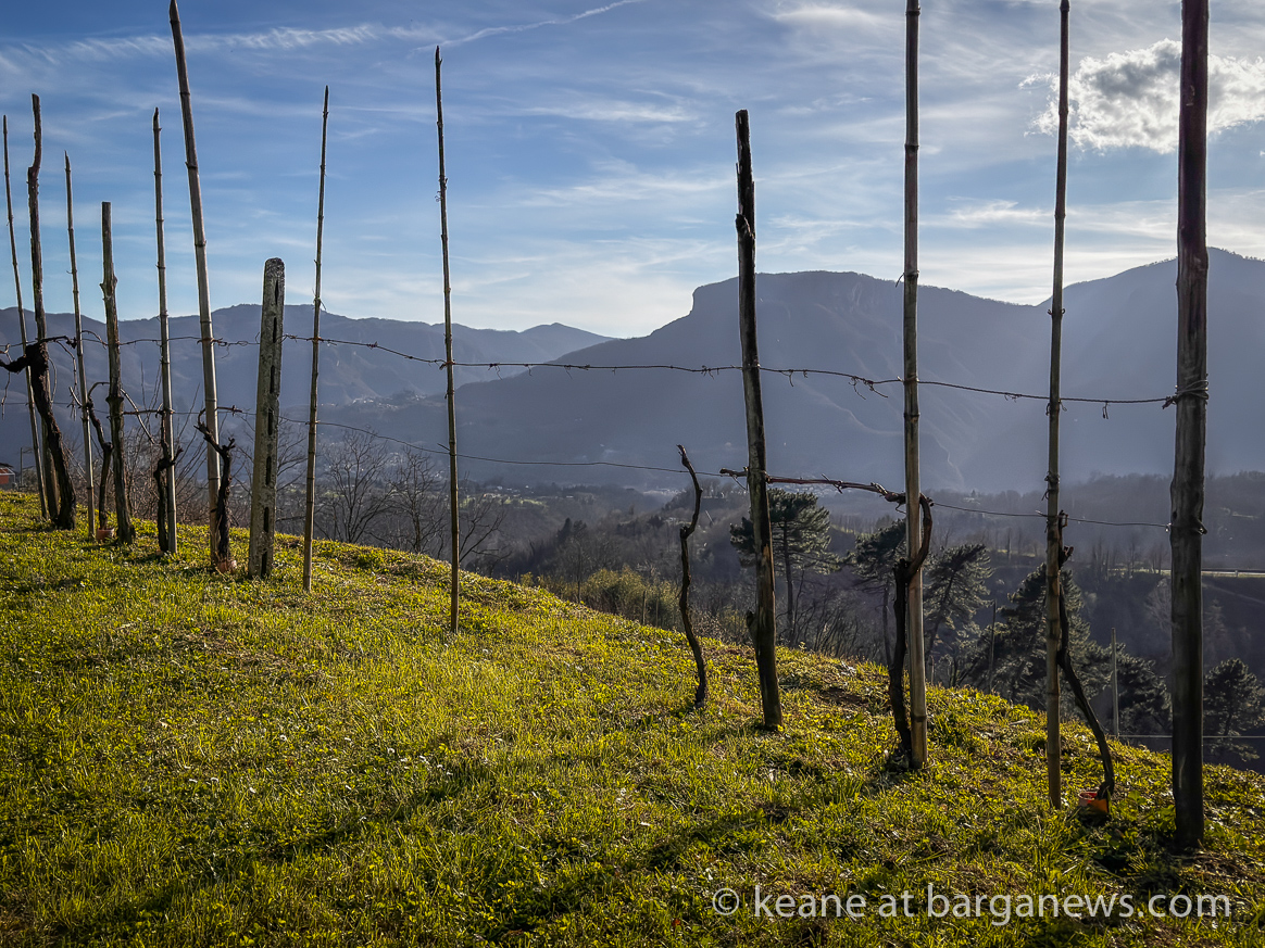 images from barga -19925