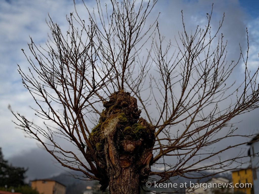 Barga Daily Image 29th March 2024