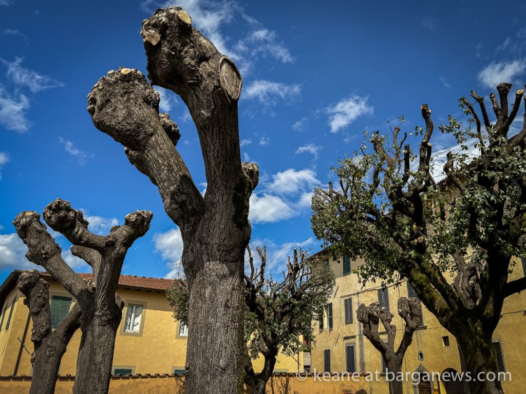 Barga Daily Image 4th April 2024