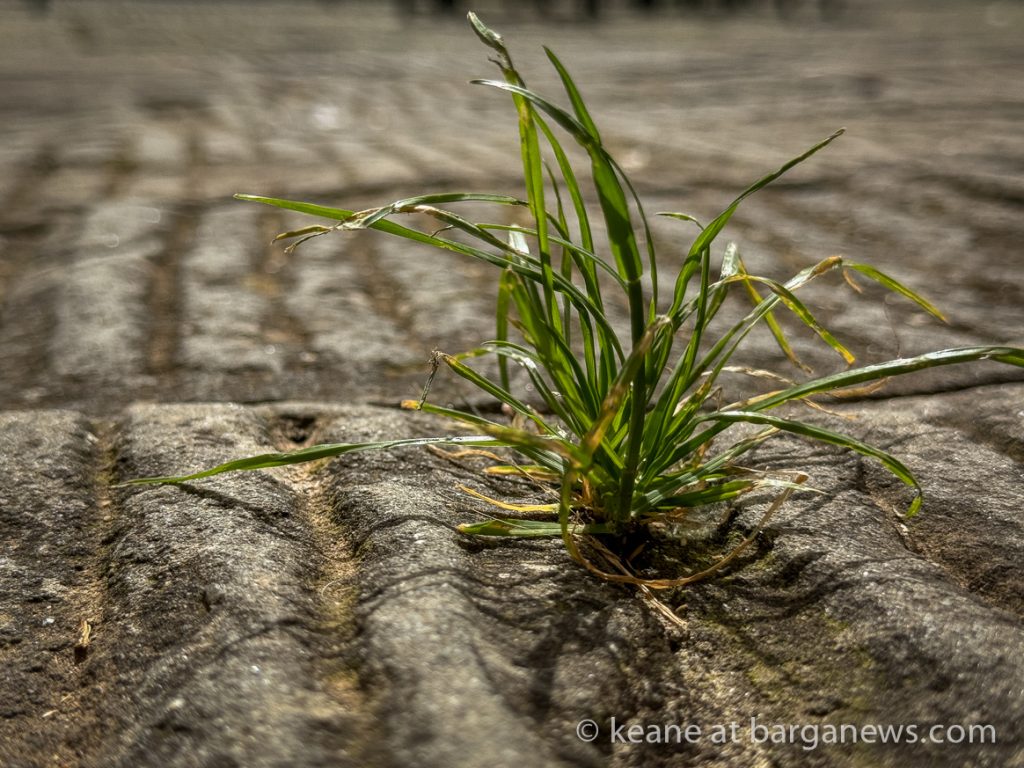 Barga Daily Image 10th April 2024