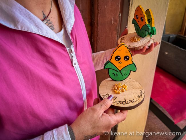 images from barga -20729