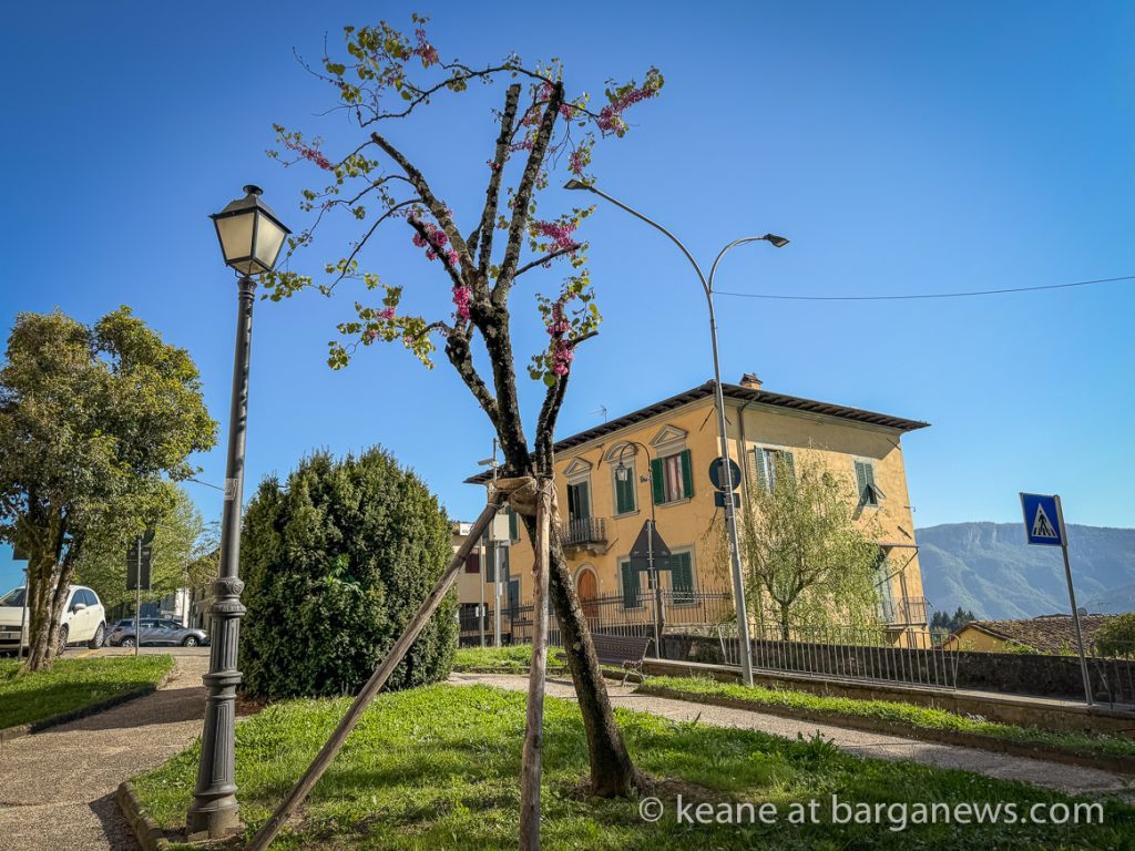 Barga Daily Image 16th April 2024
