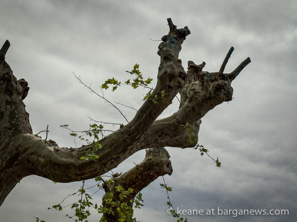 Barga Daily Image 17th April 2024